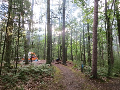 A serene forest scene with a camping tent, sunlight filtering through trees, and a person preparing a campfire.