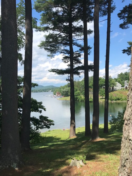 A serene lake view framed by tall trees, with a boat on the water and a clear blue sky in the background.
