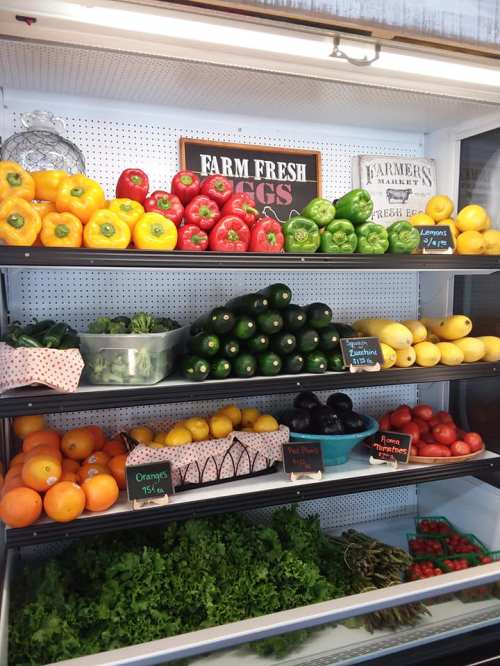 A display of colorful fresh vegetables and fruits, including peppers, cucumbers, lemons, oranges, and greens.