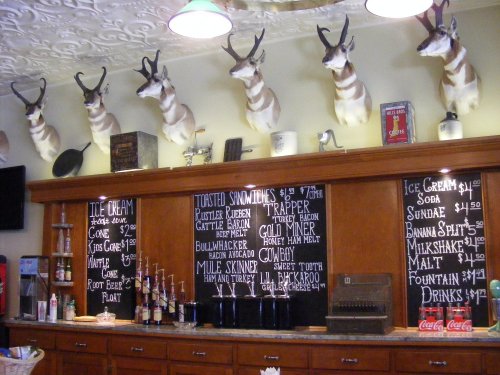 A rustic café interior with mounted antelope heads, a menu board, and various drink dispensers on the counter.