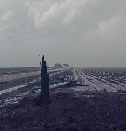 A desolate landscape with a lone post, muddy fields, and a distant tree line under a cloudy sky.