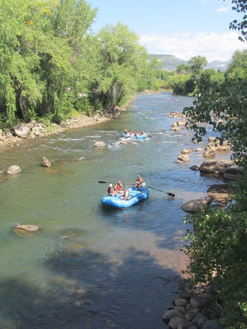 A group of people rafting on a river surrounded by lush greenery and rocky banks on a sunny day.