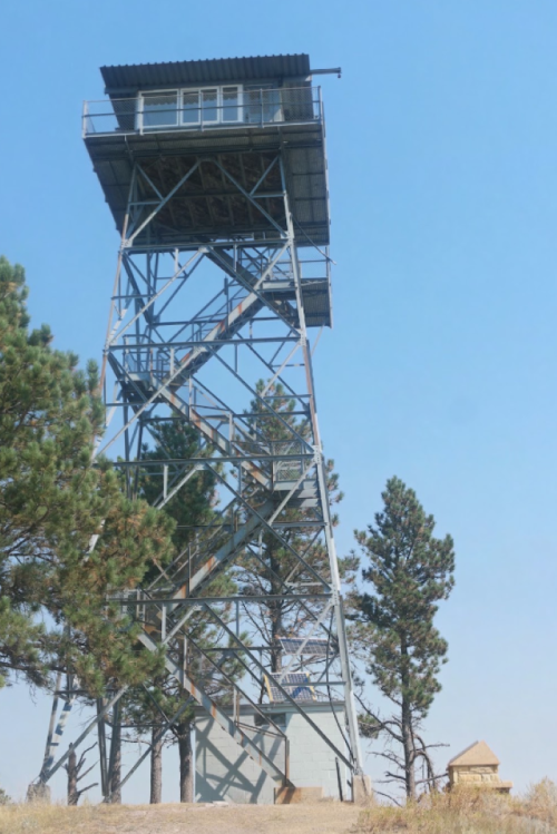 A tall metal fire lookout tower surrounded by trees against a clear blue sky.