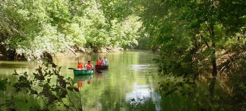 Two canoes with people paddling on a serene river surrounded by lush green trees.