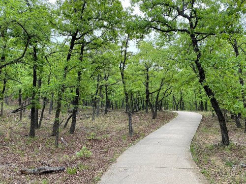 A winding concrete path through a lush green forest with trees and underbrush.