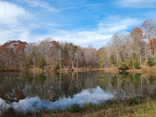 A serene lake surrounded by trees, reflecting the sky and autumn foliage under a clear blue sky.