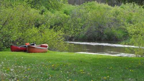 Two red canoes on a grassy bank beside a calm, green-tinted river surrounded by lush foliage.