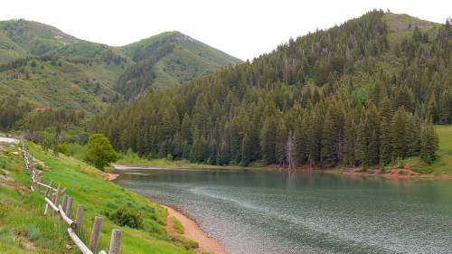 A serene lake surrounded by lush green mountains and dense forests, with a wooden fence along the shore.