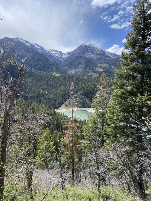 A scenic view of mountains and a turquoise lake surrounded by lush green trees under a partly cloudy sky.