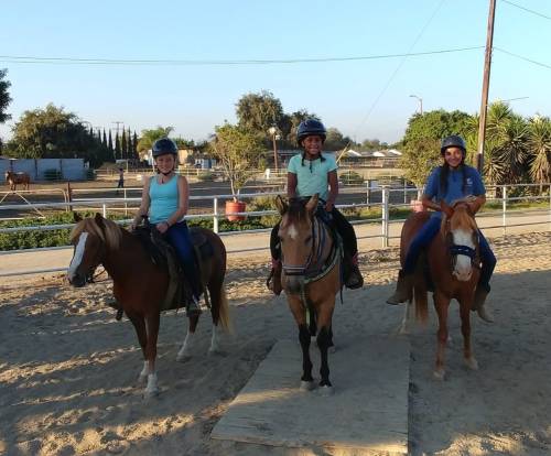 Three riders on horseback pose on a sandy area, with trees and a fence in the background under a clear blue sky.