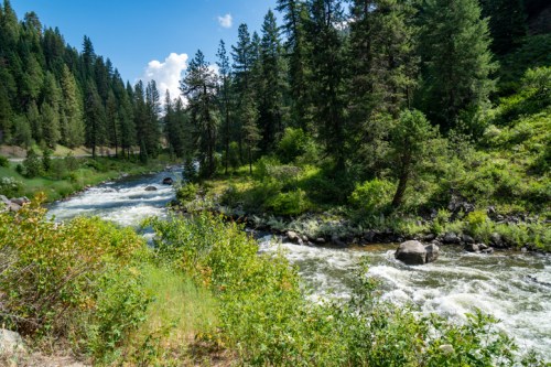 A scenic river flows through a lush green landscape, surrounded by tall trees and rocky banks under a blue sky.