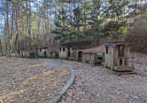 A row of wooden train cars sits on a path in a wooded area, surrounded by fallen leaves and trees.