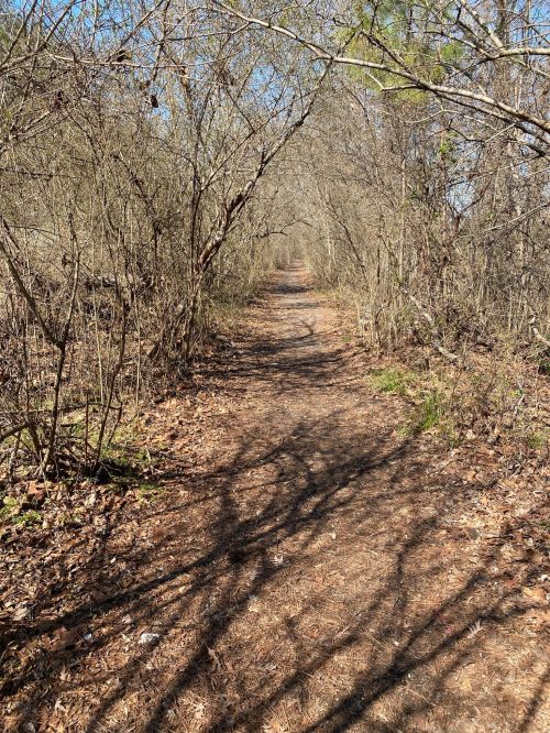A narrow dirt path winding through a wooded area with bare trees and scattered leaves on the ground.
