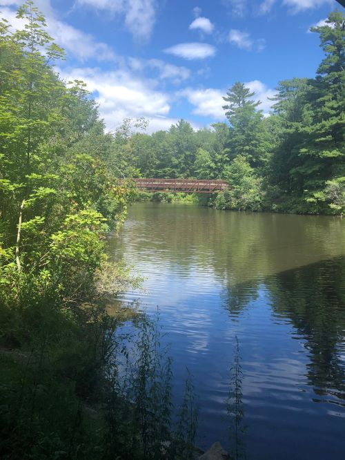 A serene river scene with lush greenery and a wooden bridge in the background under a blue sky with clouds.