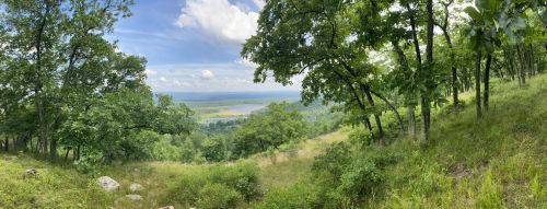 A panoramic view of a lush green landscape with trees, rolling hills, and a blue sky dotted with clouds.