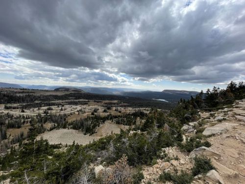 A panoramic view of a mountainous landscape under a cloudy sky, featuring rocky terrain and scattered trees.