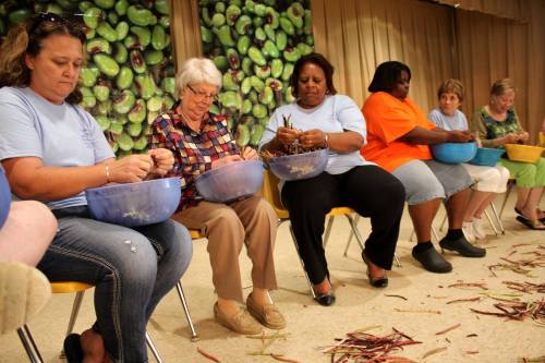 A group of women sitting in a row, peeling vegetables in bowls, with a green backdrop of olives.