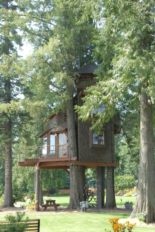 A charming treehouse nestled among tall trees, featuring large windows and a wooden deck.
