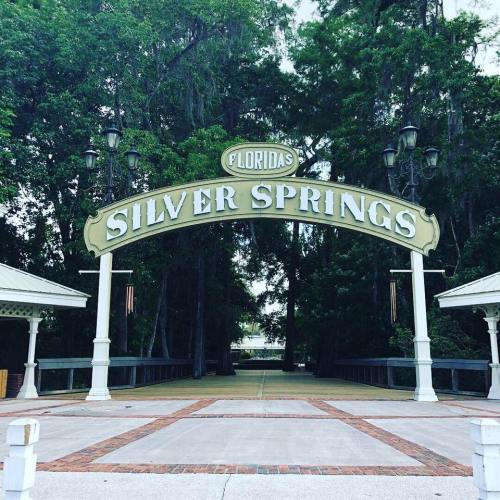 Sign reading "Florida's Silver Springs" at the entrance, surrounded by lush greenery and trees.