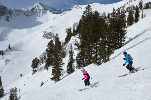 Two skiers descend a snowy slope surrounded by tall pine trees and mountains under a clear blue sky.