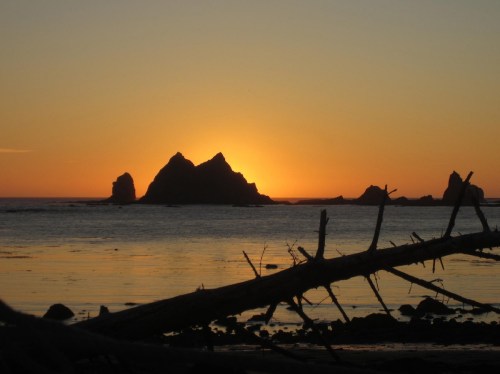 Silhouette of rocky formations against a vibrant sunset over calm waters, with a fallen tree in the foreground.