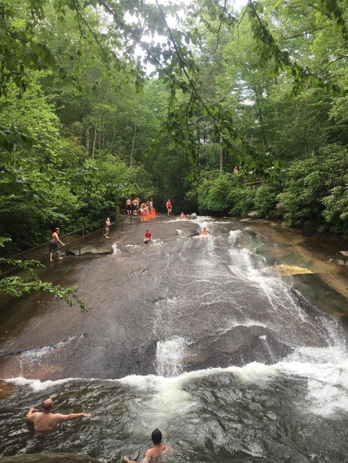A natural water slide with people enjoying the water, surrounded by lush greenery and trees.