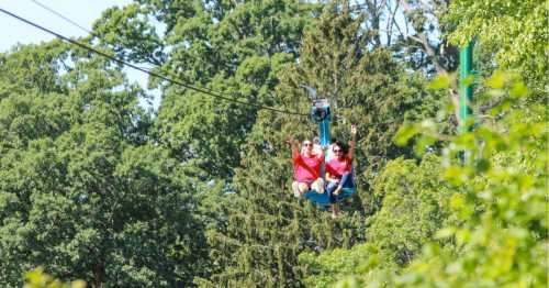 Two people in red shirts ride a cable car above lush green trees on a sunny day.