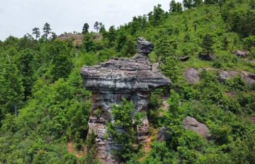 A large rock formation resembling a seated figure, surrounded by lush green trees and hills.
