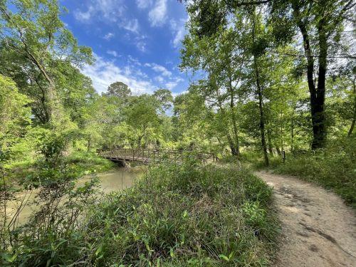 A serene nature scene featuring a winding path, lush greenery, and a wooden bridge over a calm stream under a blue sky.