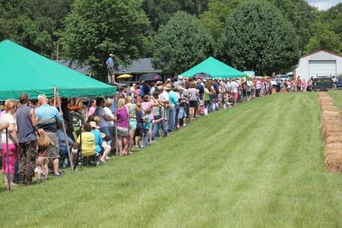 A long line of people waiting outdoors near green tents, with trees and a building in the background on a sunny day.