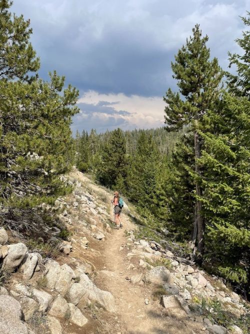 A hiker walks along a rocky trail surrounded by tall pine trees under a cloudy sky.