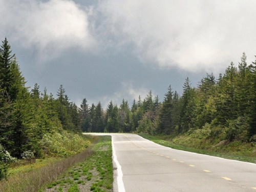 A winding road through a lush green forest under a cloudy sky.