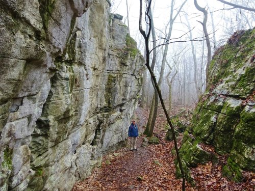 A person stands between tall, moss-covered rock formations in a foggy forest with fallen leaves on the ground.