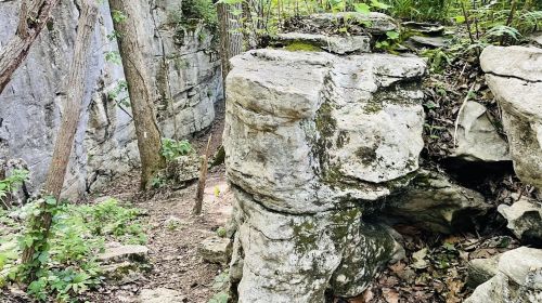Rock formations surrounded by lush greenery and trees in a natural outdoor setting.