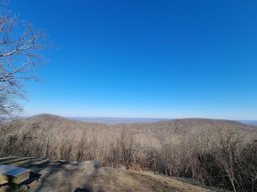 A panoramic view of bare trees and rolling hills under a clear blue sky.