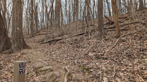 A winding trail through a leaf-covered forest with bare trees and a trail sign in the foreground.