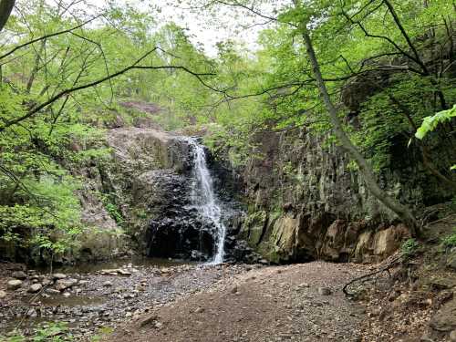 A serene waterfall cascades down rocky cliffs, surrounded by lush green trees and a peaceful forest setting.