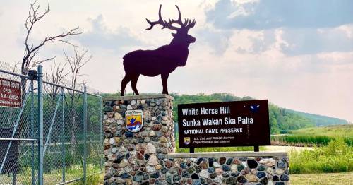 Sign for White Horse Hill Sunk Wakan Ska Paha National Game Preserve, featuring a silhouette of an elk and stone base.