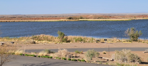 A serene landscape featuring a calm lake surrounded by dry grass and sparse vegetation under a clear blue sky.