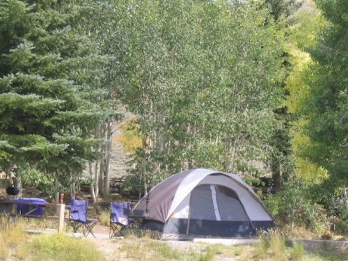 A camping scene featuring a tent surrounded by trees and two folding chairs nearby.