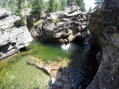 A person jumps into a clear, green pool surrounded by large rocks and trees in a natural setting.