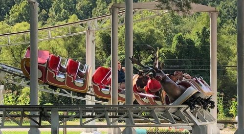 A roller coaster with riders enjoying the ride, surrounded by lush green trees in the background.