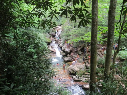 A lush green forest surrounds a rocky stream where people are swimming and enjoying nature.