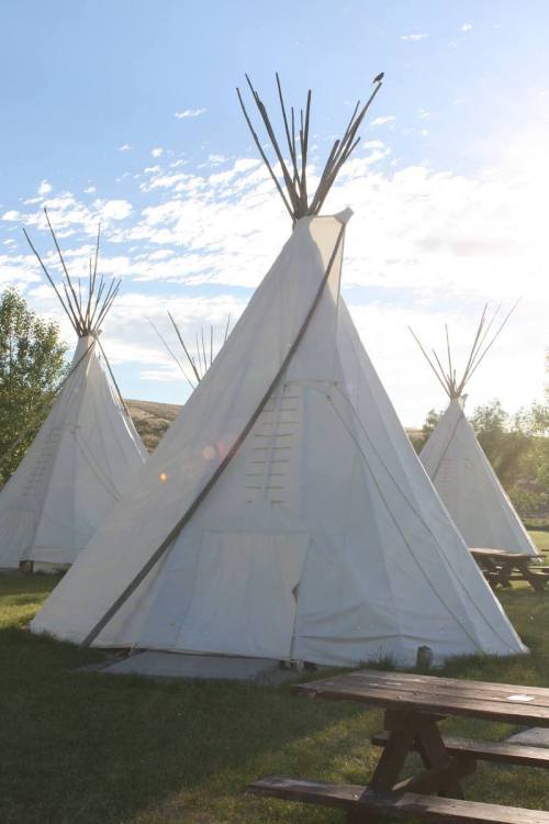Three white tipis stand in a grassy area under a blue sky with scattered clouds, surrounded by picnic tables.