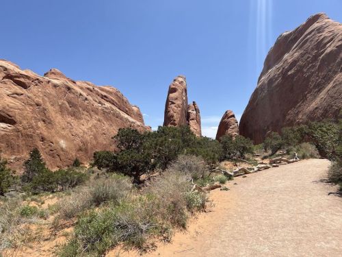 A scenic view of towering red rock formations surrounded by greenery and a sandy path under a clear blue sky.