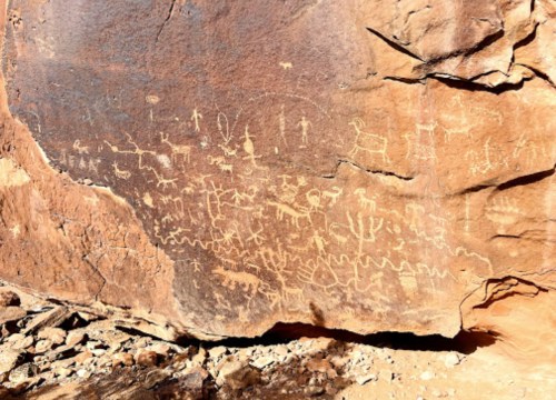 Petroglyphs etched into a rocky surface, depicting various figures and animals in a natural outdoor setting.