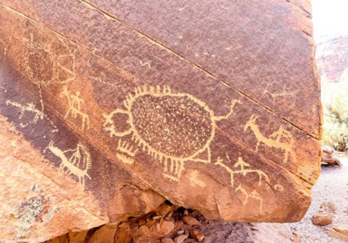 Petroglyphs on a rock surface depicting a turtle and other abstract figures in a desert landscape.