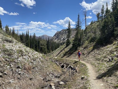 A hiker walks along a winding trail surrounded by trees and mountains under a blue sky with scattered clouds.