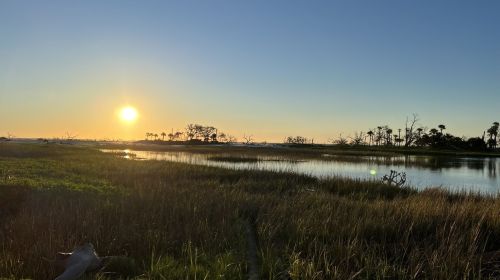 Sunset over a tranquil marsh, with tall grasses and silhouettes of trees reflected in the calm water.