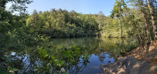 A serene lake surrounded by lush green trees under a clear blue sky, reflecting the natural beauty of the landscape.